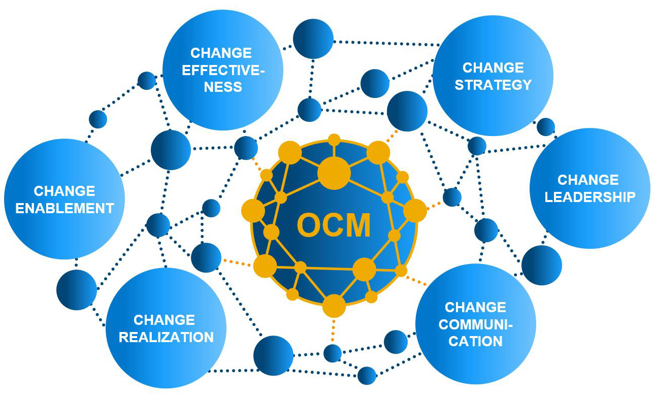 Organizational Change Management